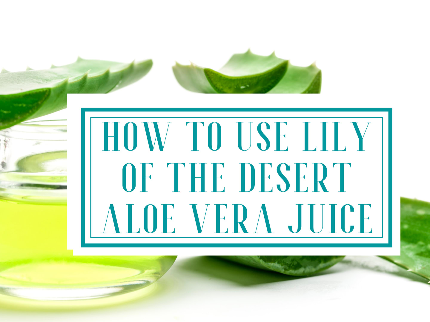 Lily of the Desert Aloe Vera Juice for Hair