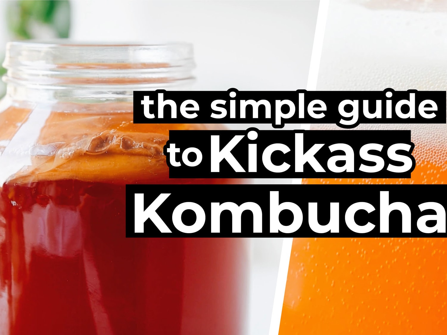 Homemade Kombucha: The Simple Guide to Kickass Kombucha