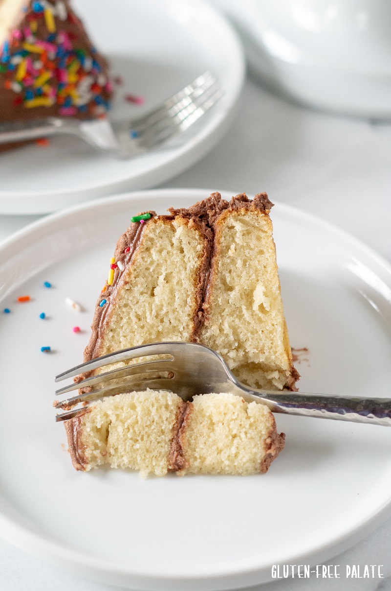 Easy Vanilla Sponge Cake Recipe - My Active Kitchen