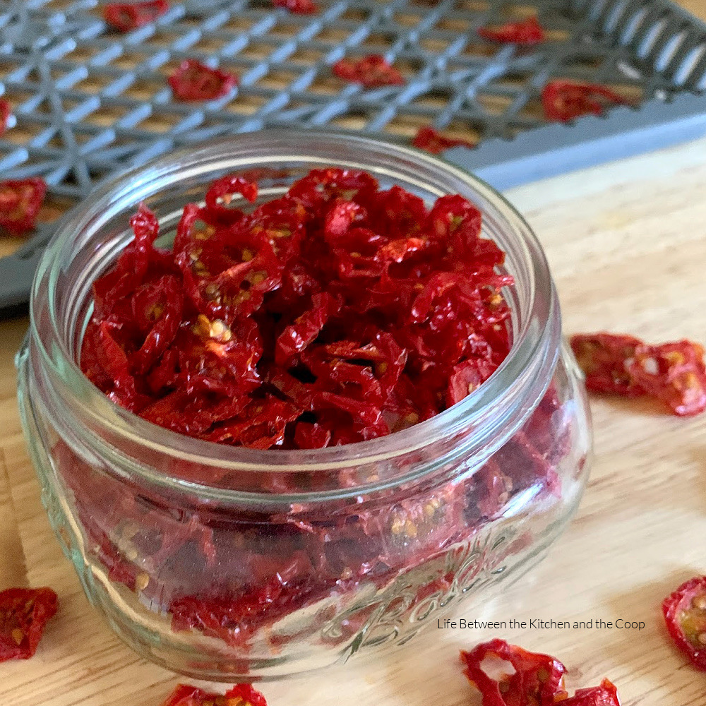 Food Dehydrators Explained: How they work for drying tomatoes