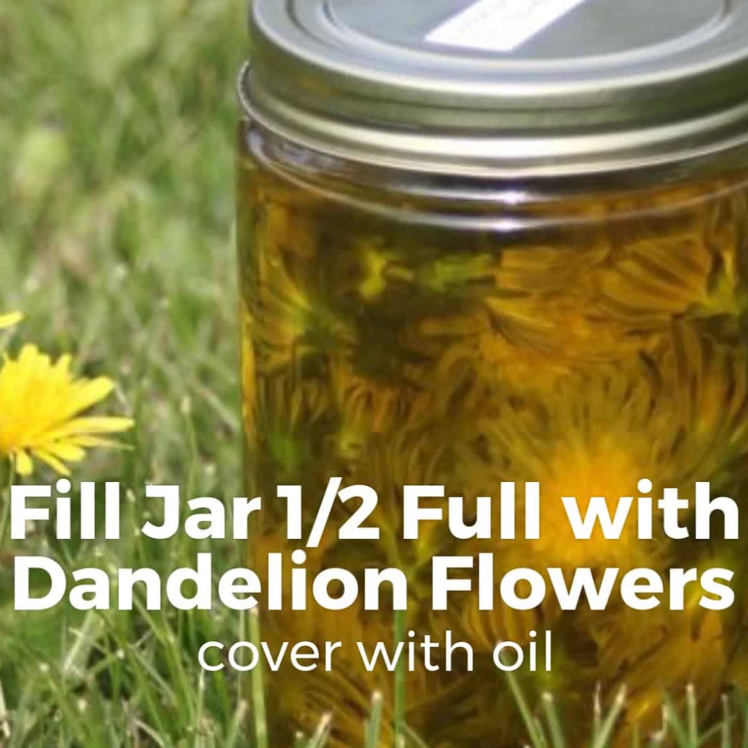 Using our Magical Filter Press to strain Dandelion infused oil. Making  Comfort Salve and Magnesium oil today also., By Dandelion Bliss, LLC