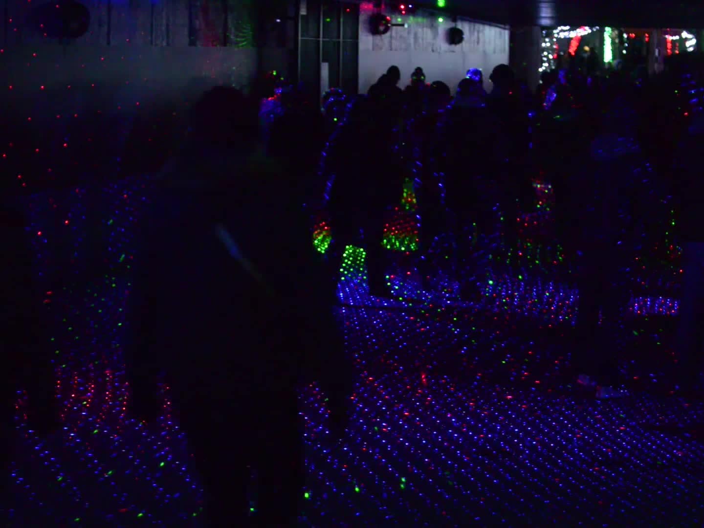 Wildlights at the Columbus Zoo