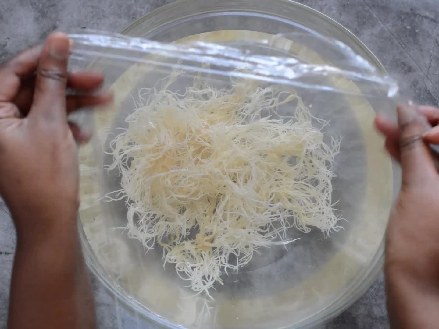 How to Make Sea Moss Gel