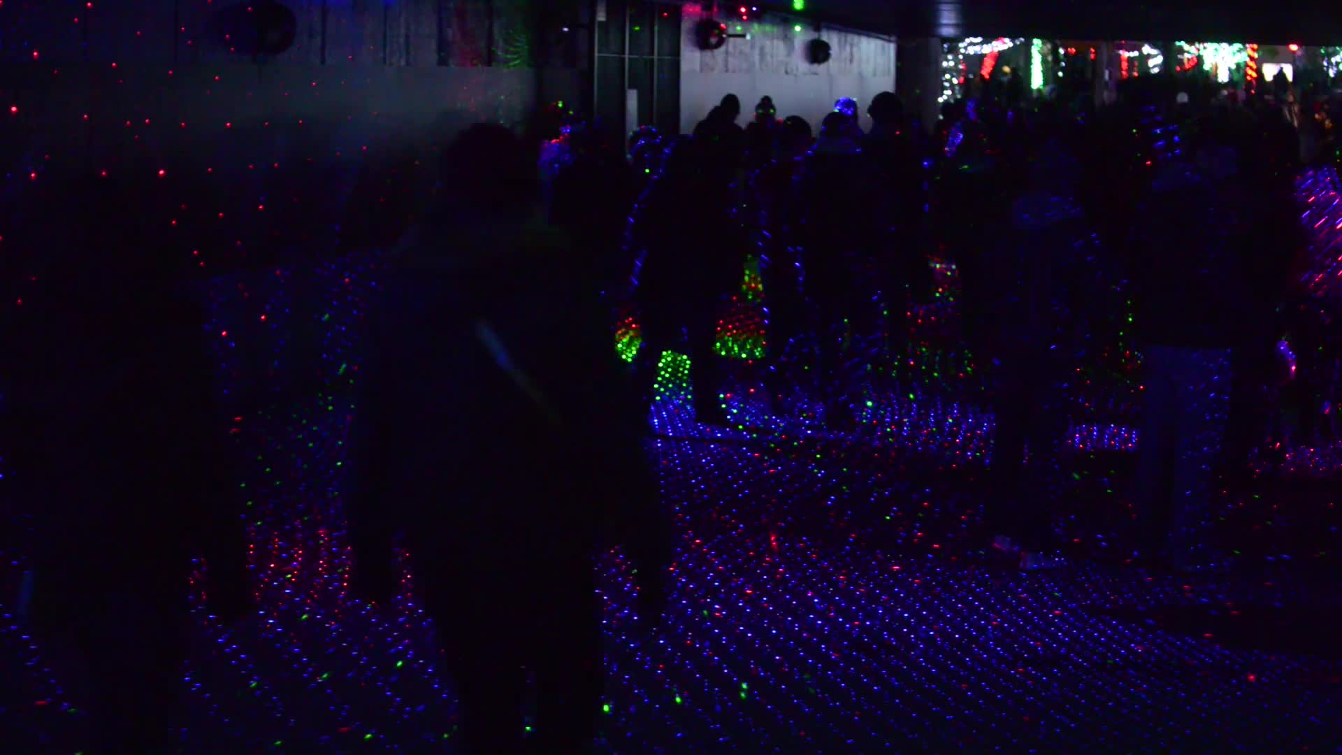 Wildlights at the Columbus Zoo