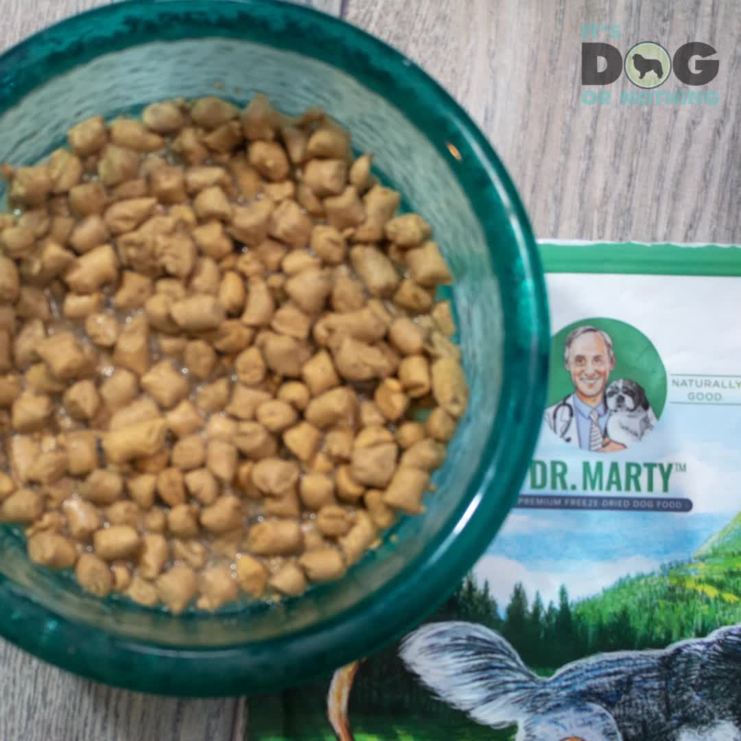 Pro power plus dr marty 2025