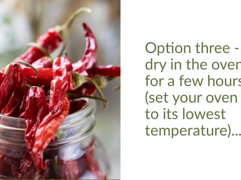 How to Dry Cayenne Pepper - Lady Lee's Home