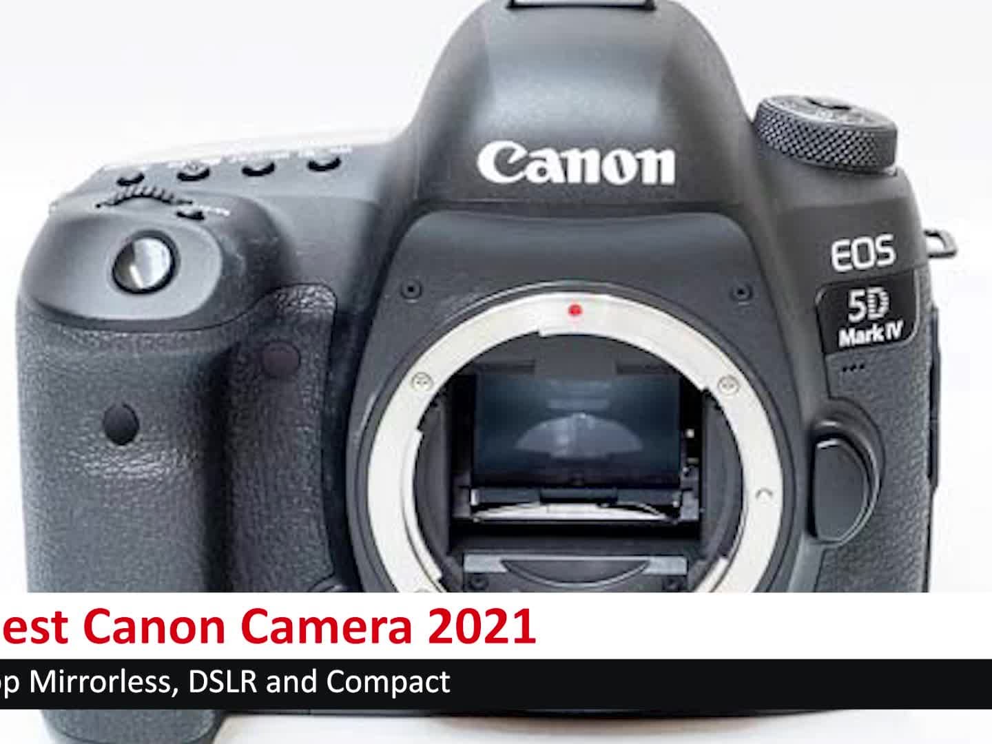 Baron park Scheiden Best Canon Camera 2021: Mirrorless, DSLR and Compact | Photography Blog