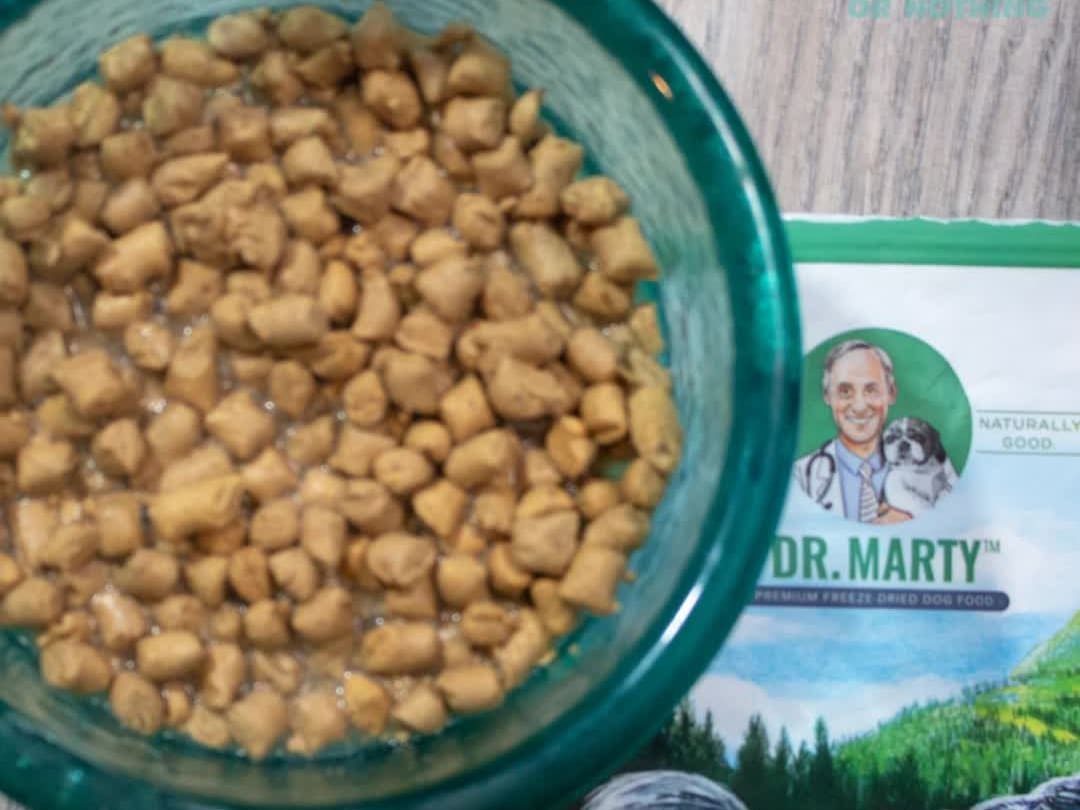 Dr marty's premium freeze dried dog food sales